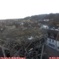 17_35-nest.jpg