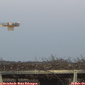 17_40-mast.jpg