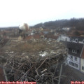 07_30-nest.jpg