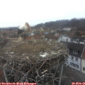07_35-nest.jpg
