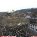 07_40-nest.jpg
