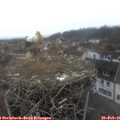 07_55-nest.jpg