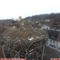 08_00-nest.jpg