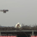 08_05-mast.jpg