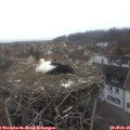 08_10-nest.jpg