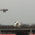 08_25-mast.jpg
