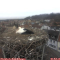 08_25-nest.jpg