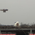08_35-mast.jpg