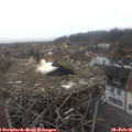 08_55-nest.jpg