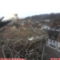 09_00-nest.jpg
