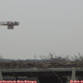 09_05-mast.jpg