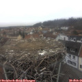 09_05-nest.jpg