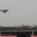 09_10-mast.jpg