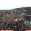 09_10-nest.jpg
