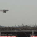 09_15-mast.jpg