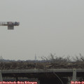 09_20-mast.jpg
