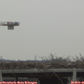 09_35-mast.jpg