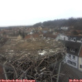 09_35-nest.jpg