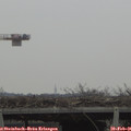 09_45-mast.jpg