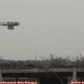 09_55-mast.jpg