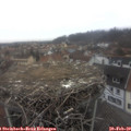 10_00-nest.jpg