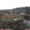 10_05-nest.jpg
