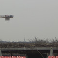 10_10-mast.jpg