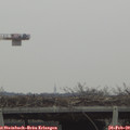 10_15-mast.jpg