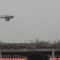 10_20-mast.jpg