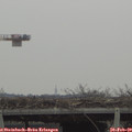 10_25-mast.jpg