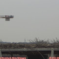 10_35-mast.jpg