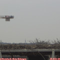 10_40-mast.jpg