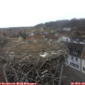 10_40-nest.jpg