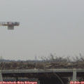 10_45-mast.jpg