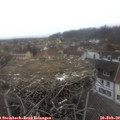 10_55-nest.jpg