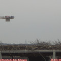 11_05-mast.jpg