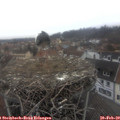 11_50-nest.jpg