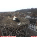 12_05-nest.jpg