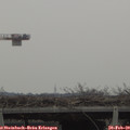12_30-mast.jpg