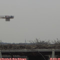 12_35-mast.jpg