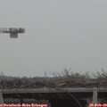 12_40-mast.jpg