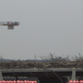 12_45-mast.jpg