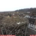 13_00-nest.jpg