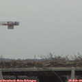 13_05-mast.jpg