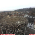 13_05-nest.jpg