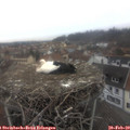 13_10-nest.jpg