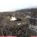 13_20-nest.jpg