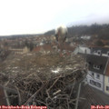 13_25-nest.jpg