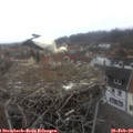 13_35-nest.jpg