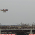 13_45-mast.jpg